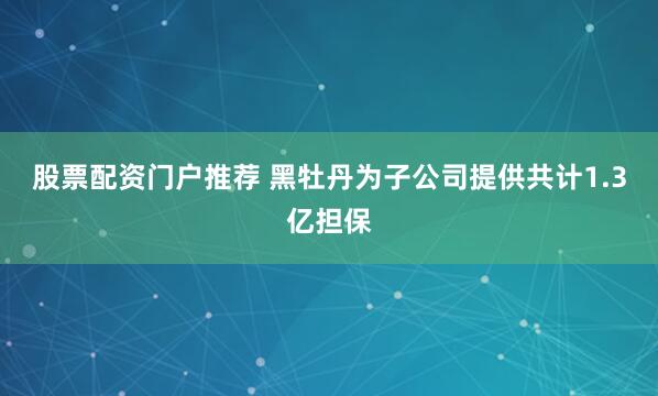 股票配资门户推荐 黑牡丹为子公司提供共计1.3亿担保